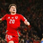 EURO QUALIFYING – 21/03/2024 (PHOTO –  WALES’ DANIEL JAMES CELEBRATES)