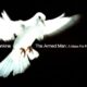 XII BENEDICTUS – THE ARMED MAN:  A MASS FOR PEACE