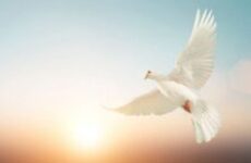 VIEW SKY NEWS FOR NEWS FROM AROUND THE WORLD