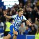 PREMIER LEAGUE : BRIGHTON AND HOVE ALBION VS LIVERPOOL – 19/05/2025   (PHOTO – JACK HINSHELWOOD CELEBRATES)