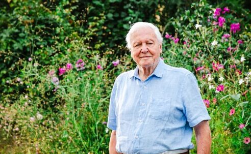 MANY HAPPY RETURNS TO SIR DAVID ATTENBOROUGH WHO IS 100 YEARS OLD TODAY!