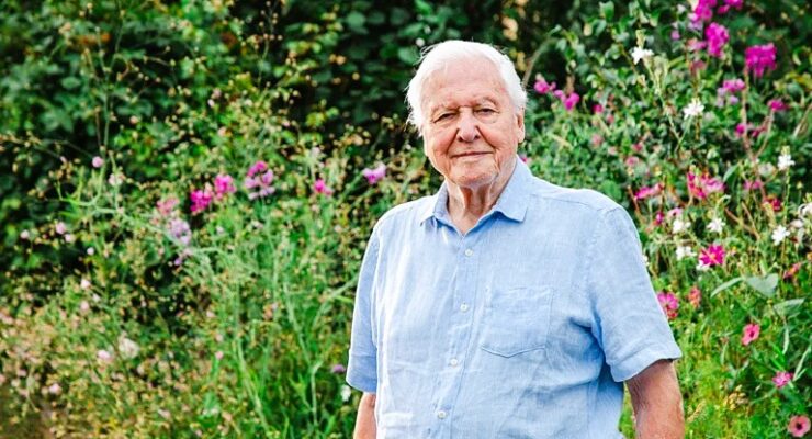 MANY HAPPY RETURNS TO SIR DAVID ATTENBOROUGH WHO IS 100 YEARS OLD TODAY!