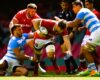 RUGBY WORLD CUP 2023:  WALES VS ARGENTINA – 14/10/2023