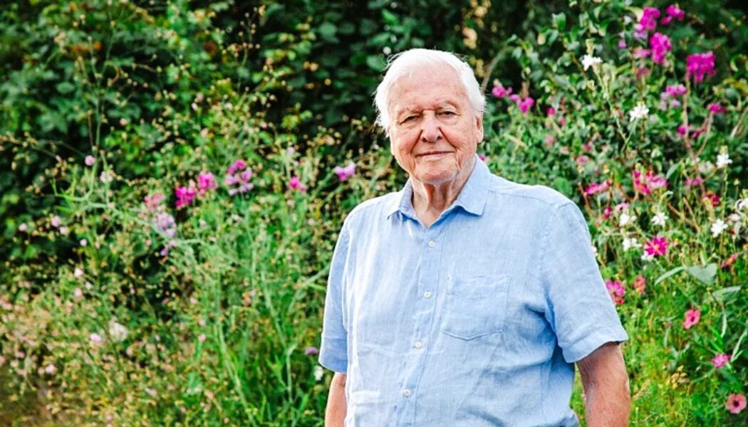 MANY HAPPY RETURNS TO SIR DAVID ATTENBOROUGH WHO IS 100 YEARS OLD TODAY!