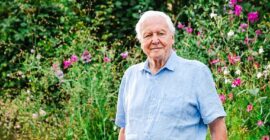 MANY HAPPY RETURNS TO SIR DAVID ATTENBOROUGH WHO IS 100 YEARS OLD TODAY!