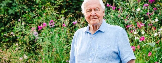 DAVID ATTENBOROUGH CELEBRATED HIS 100TH BIRTHDAY RECENTLY!